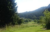 Sonntag